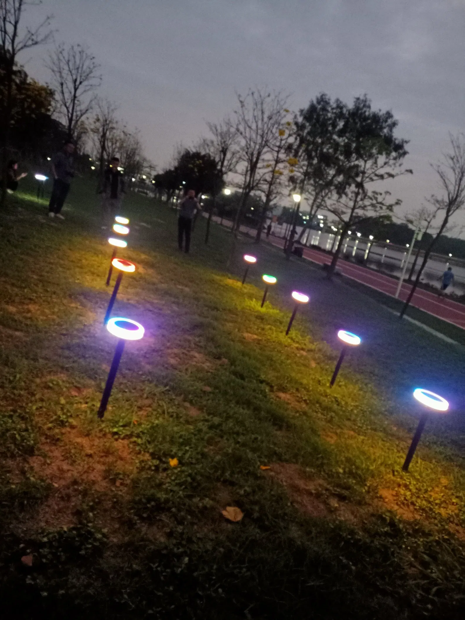 IP65 Waterproof Park Decoration Path Lights Spike Solar Panel Outdoor LED Solar Bollard Lawn Light for Garden