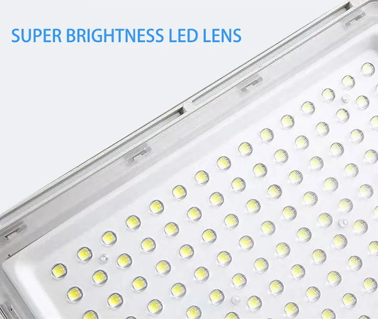 Solar Flood Light Detail 3