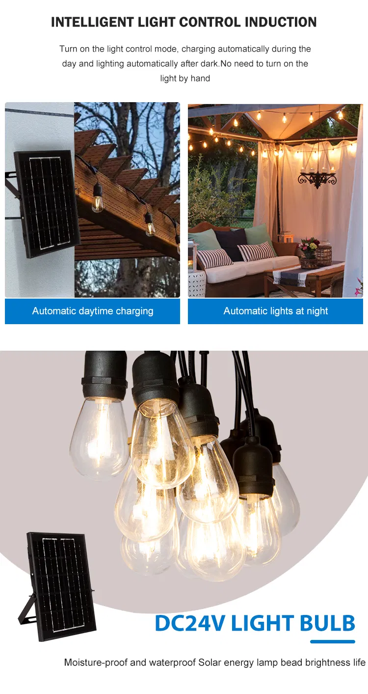 Solar String Light Display 3