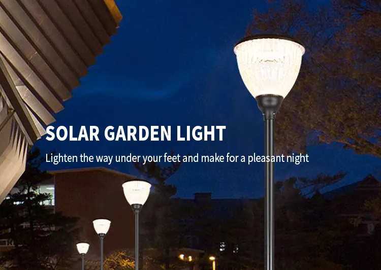 Solar LED Lawn Light Display 4