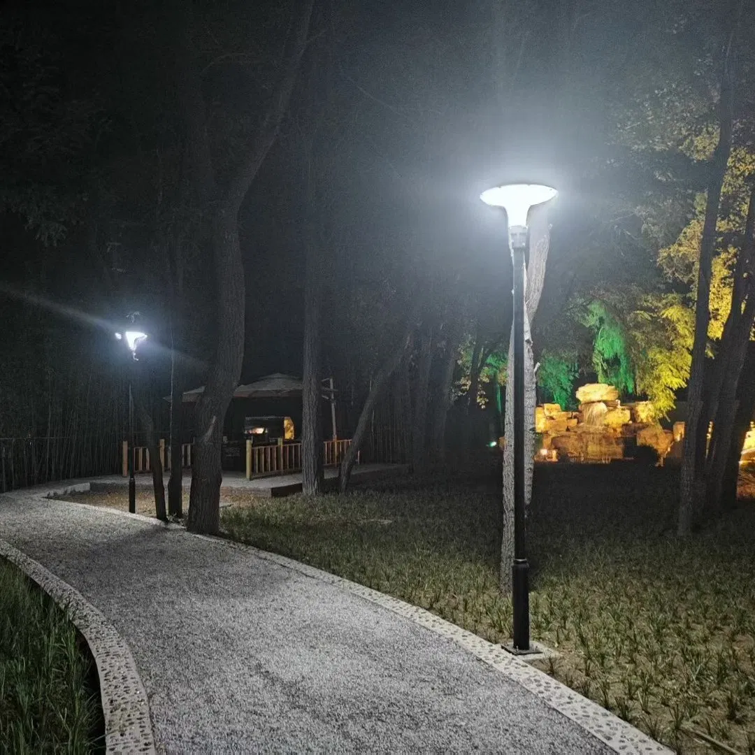 Die-Casting Aluminum 20-120W Power Saving IP65 Light Waterproof Solar Post Top Garden Light Housing LED Street Light