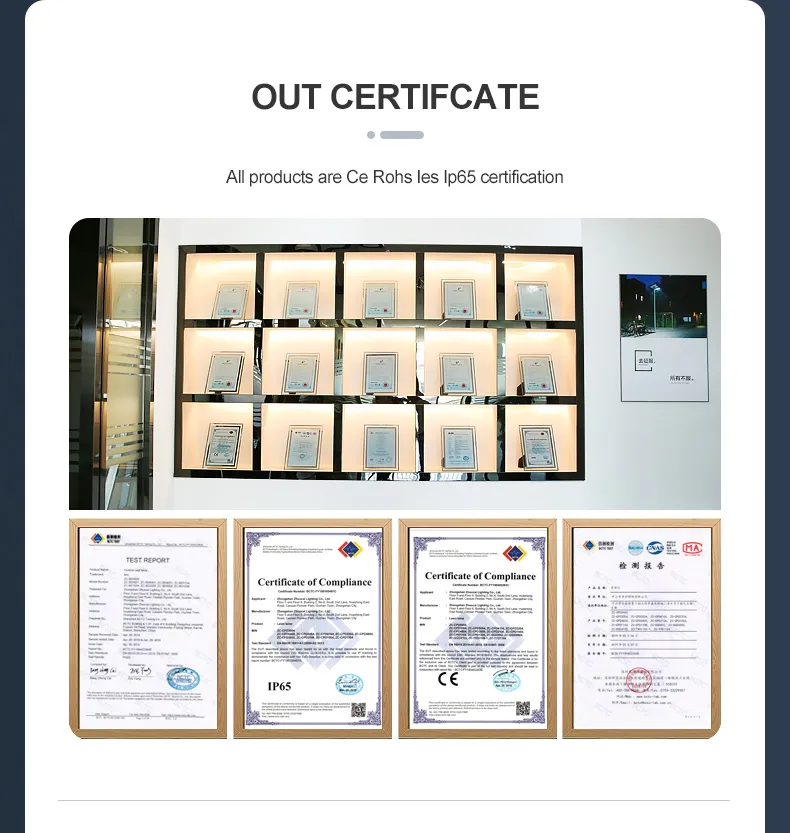 Solar Garden Path Light