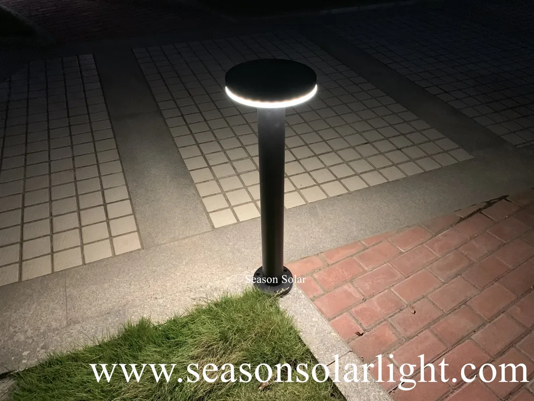 Solar Night Lighting 4