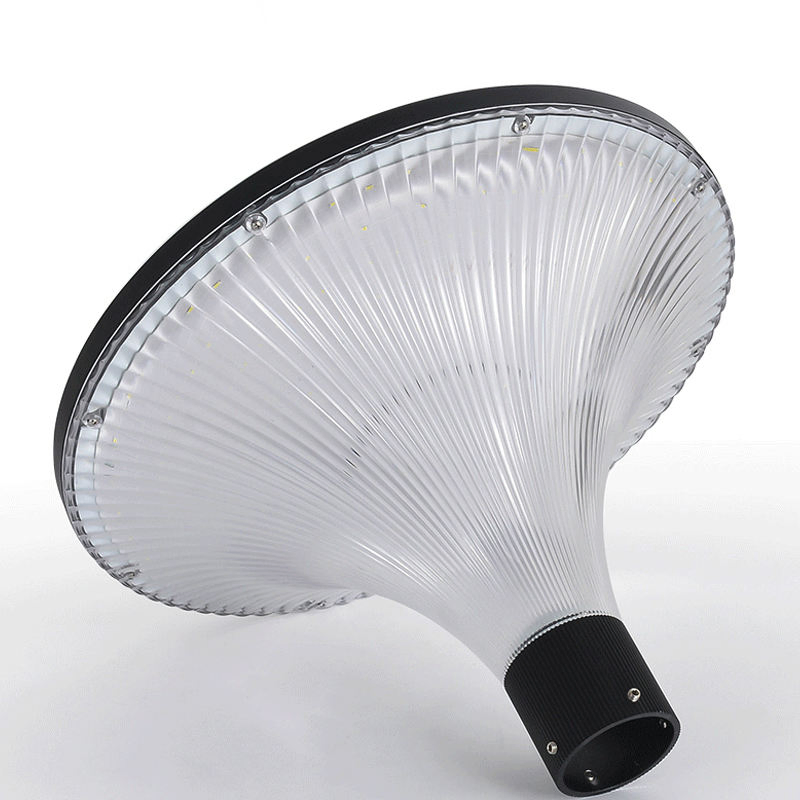 Modern Design Solar Garden Spike Light for Flower Bed Decor