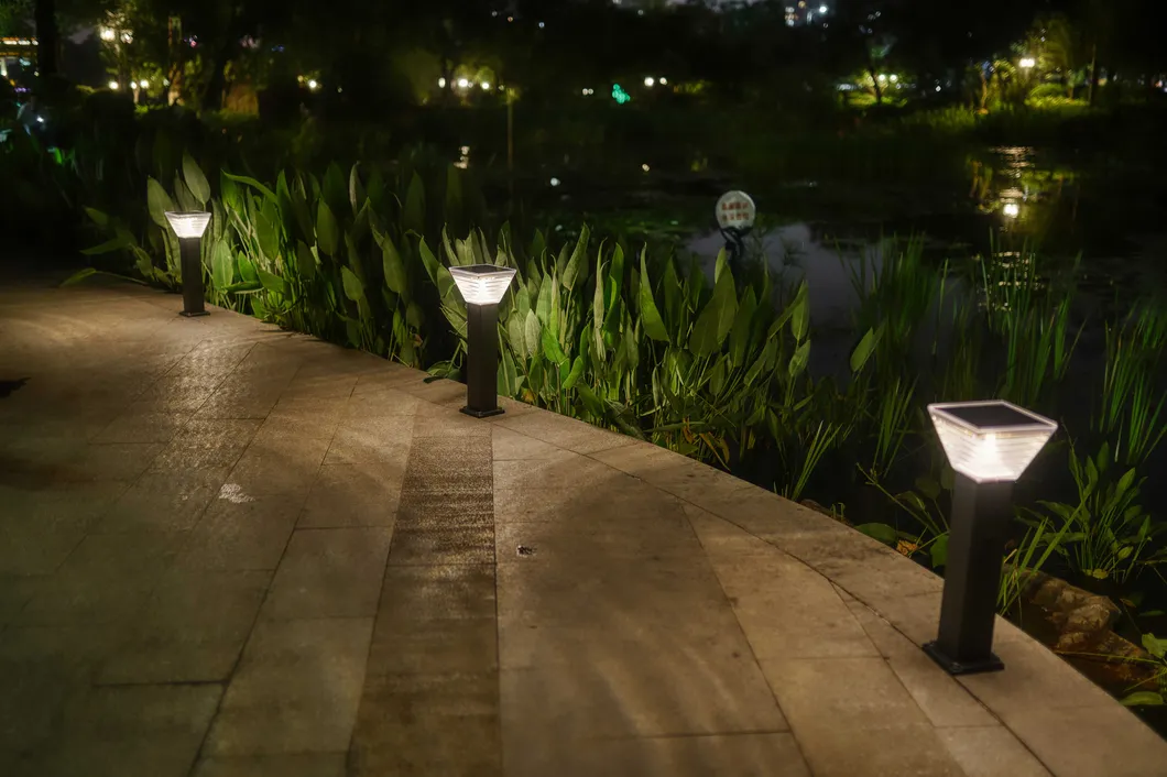 Solar Light in Garden