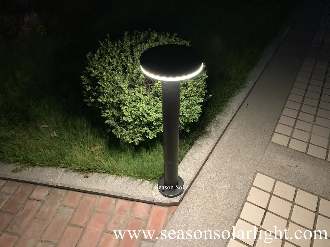 Solar Night Lighting 1