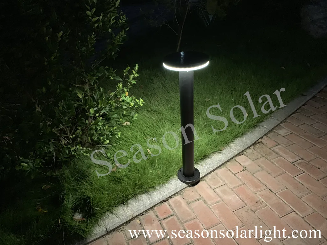Solar Night Lighting 2