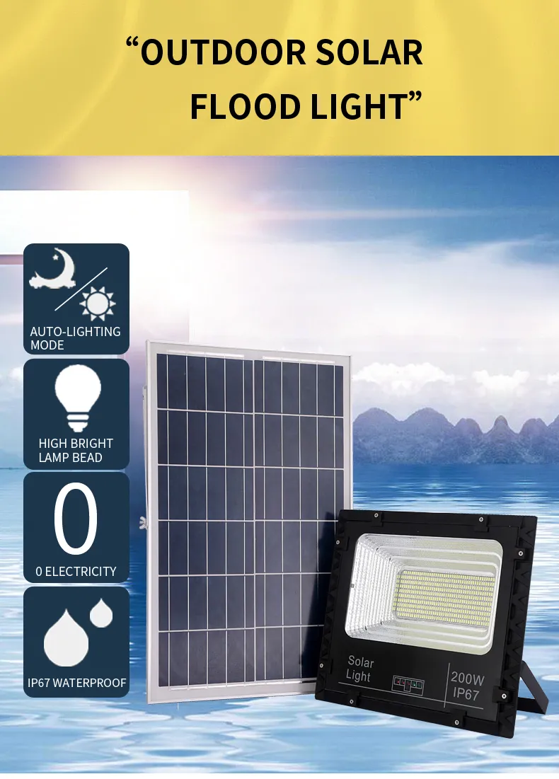 Solar Flood Light Detail 1
