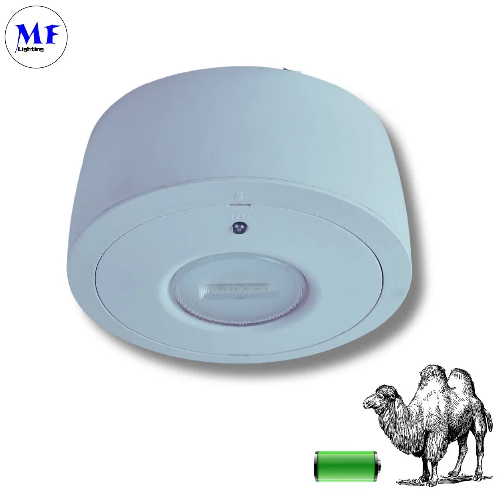 Factory Price 8W ABS Flame Retardant Anti-Glare IP30 Backup Surface Recessed Mounting Emergency Spotlight Ceiling LED Emergency Down Light for School Hospital