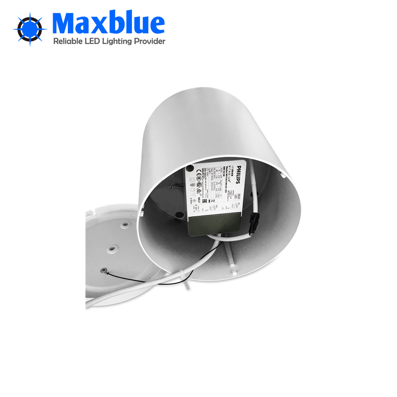 10~40W Surface Mounted LED Ceiling Downlight with 3-Year Warranty