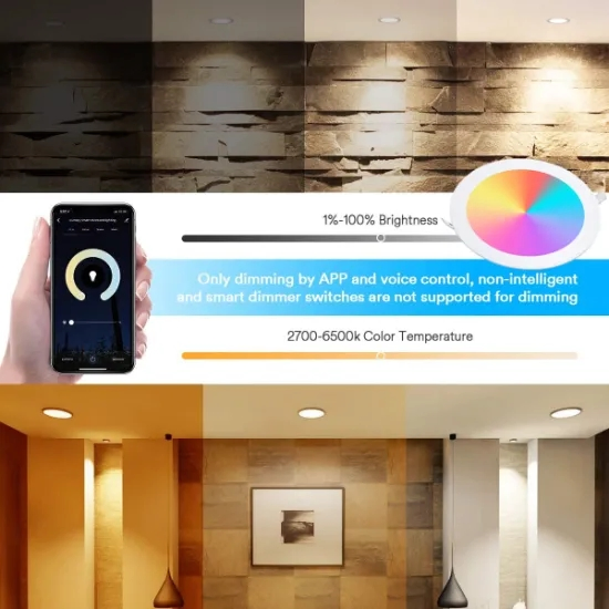 CE RoHS LED Smart RGB Time Setting 6W9w12W18W24W Tuya WiFi Control Panel Light LED Down Light