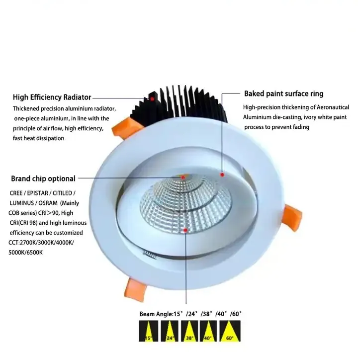 LED Downlight View 2