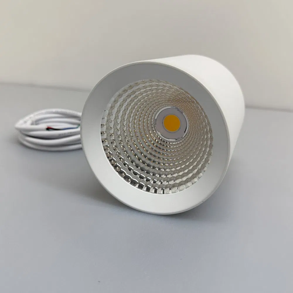 Surface Mounted Cylinder Down Light 10W 20W 30W LED Downlight for Home Office Living Room