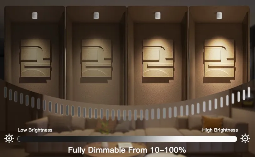 Surface Mounted Downlight