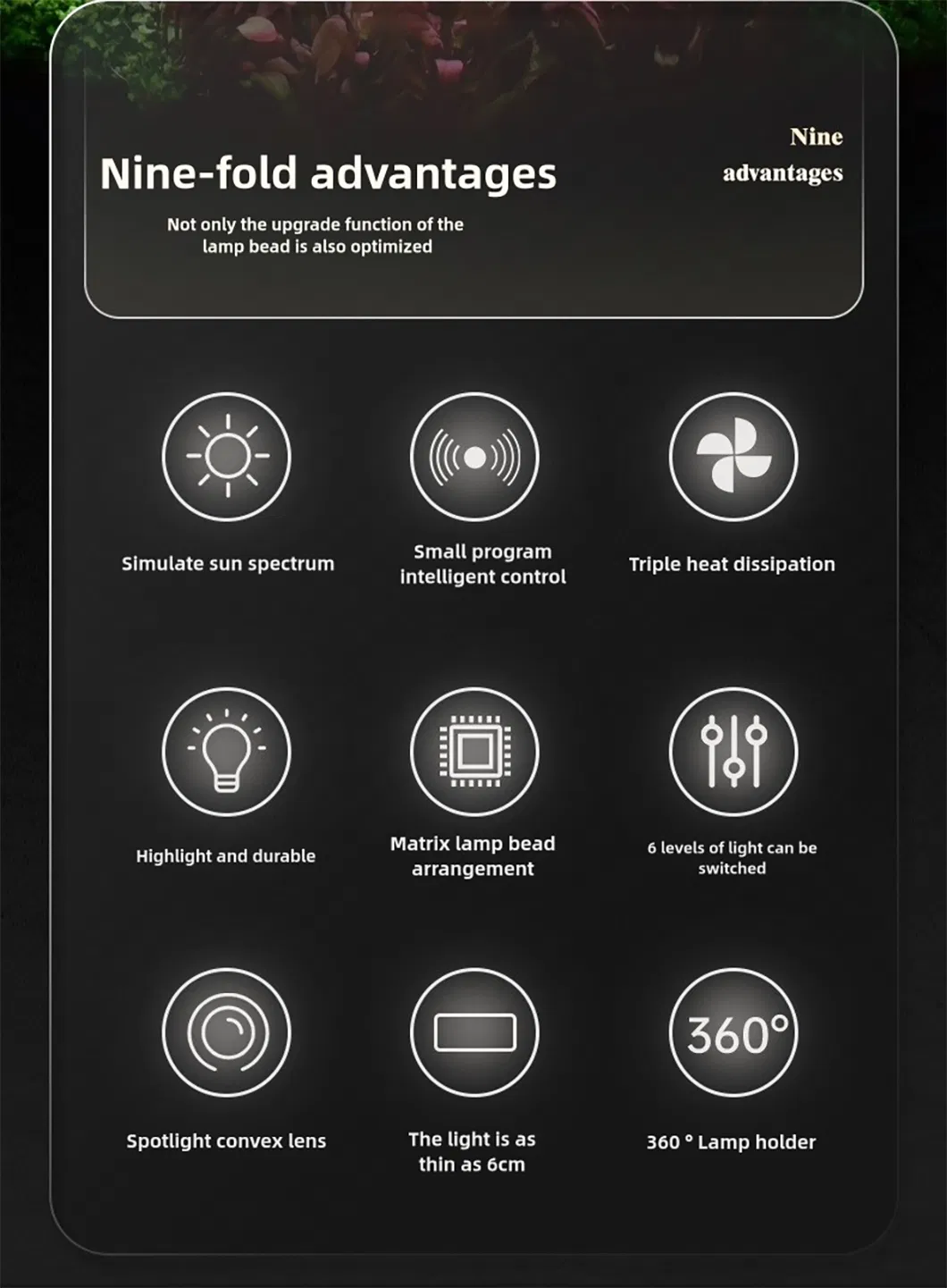 Aquarium Downlights 2