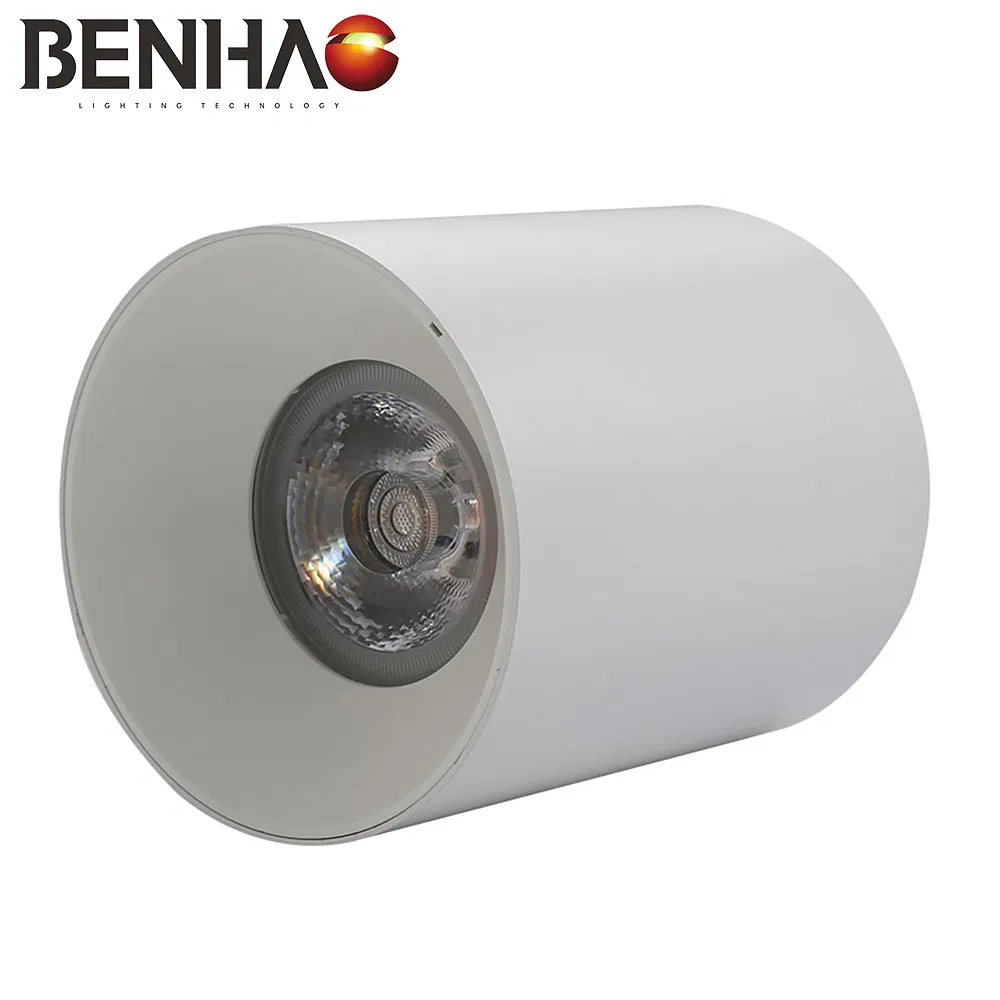 LED Downlight Detail 1