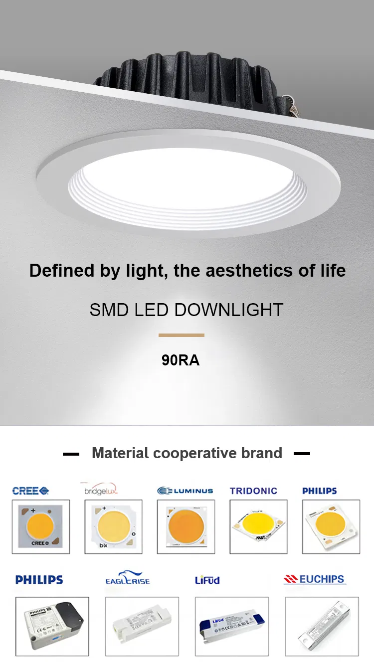 LED Downlight View 2
