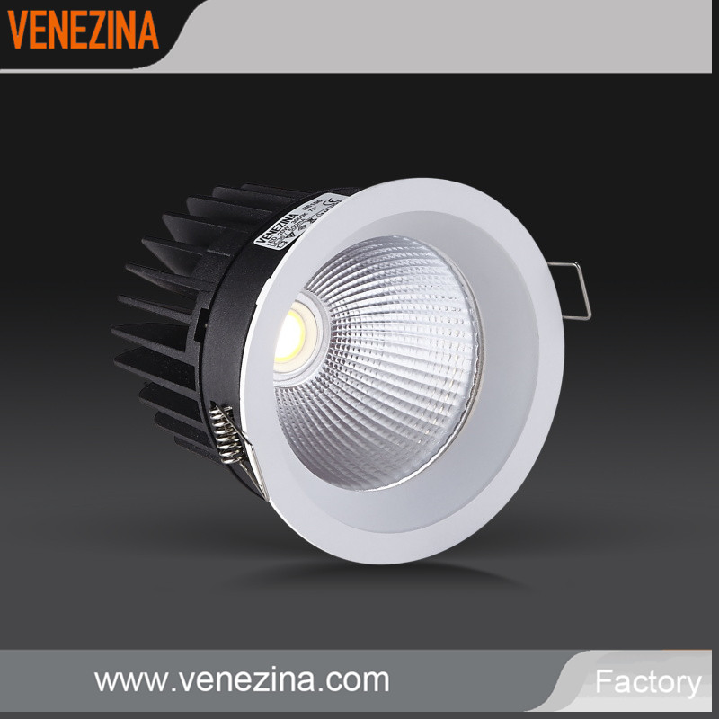 LED Down Light High Lumen LED Ceiling Light 30W COB Downlight