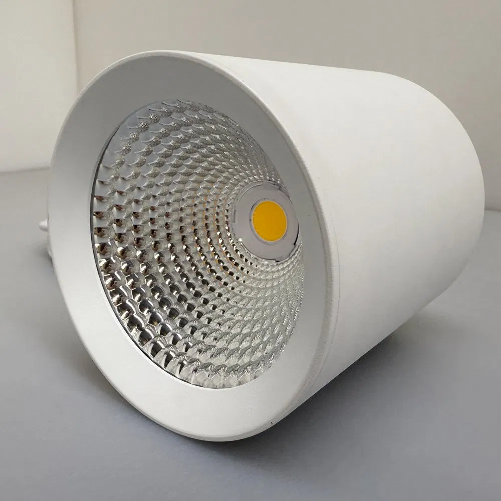 Surface Mounted Cylinder Down Light 10W 20W 30W LED Downlight for Home Office Living Room