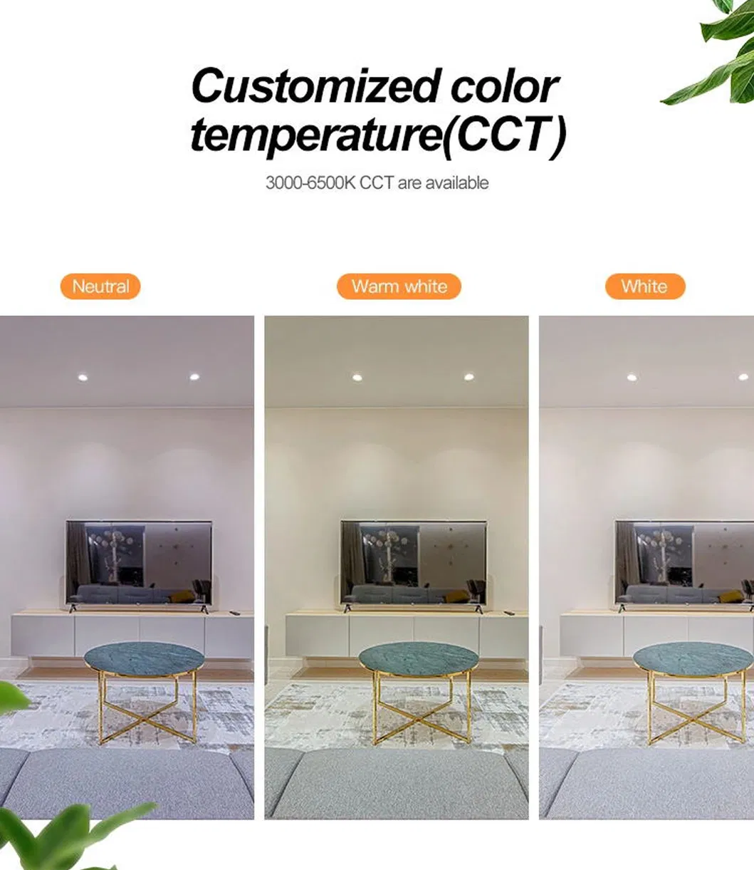 LED Down Light Structure