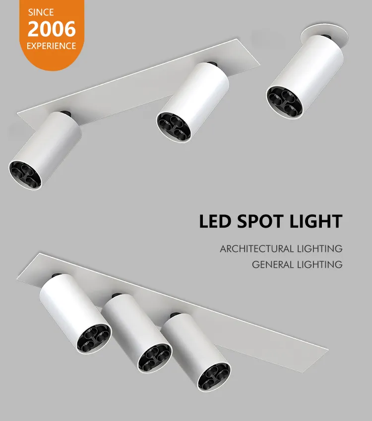 LED Downlight Detail 1