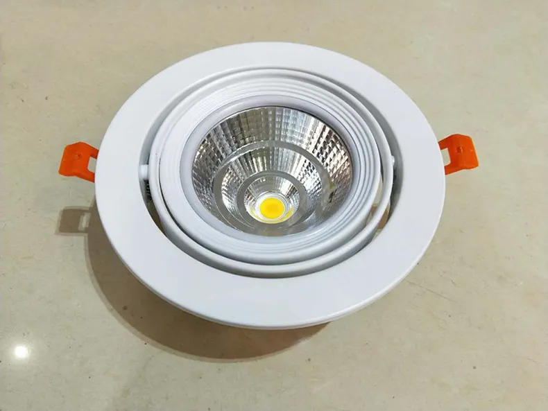 LED Downlight View 1