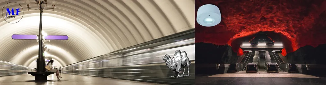 Industrial Application