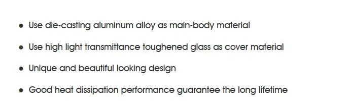 Ceiling Emergency Downlight