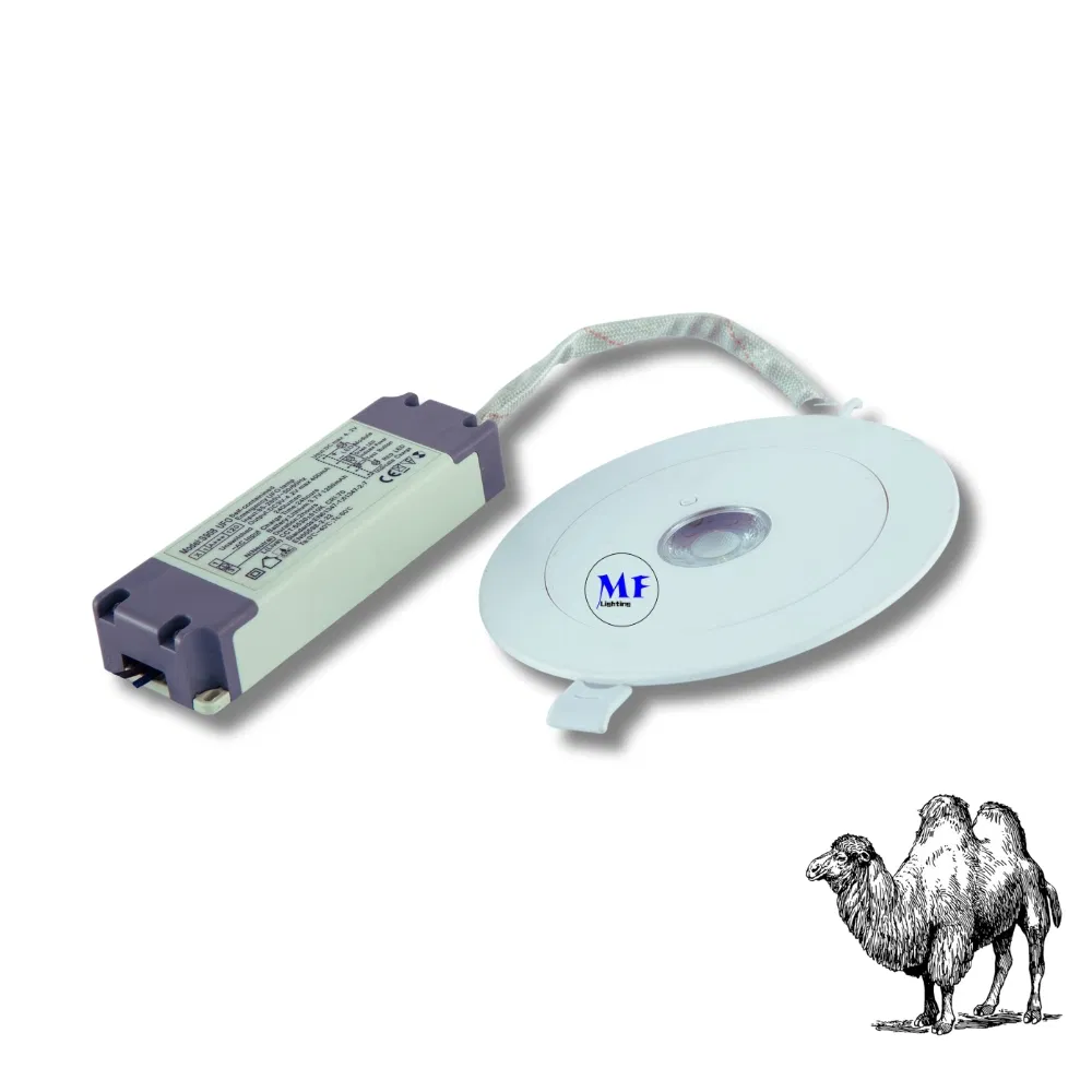 16+ Years Factory 3h IP65 Battery Backup Rechargeable Public School Hospital Shopping Workshop Mall Down Light Panic Emergency Escape Exit Sign Light