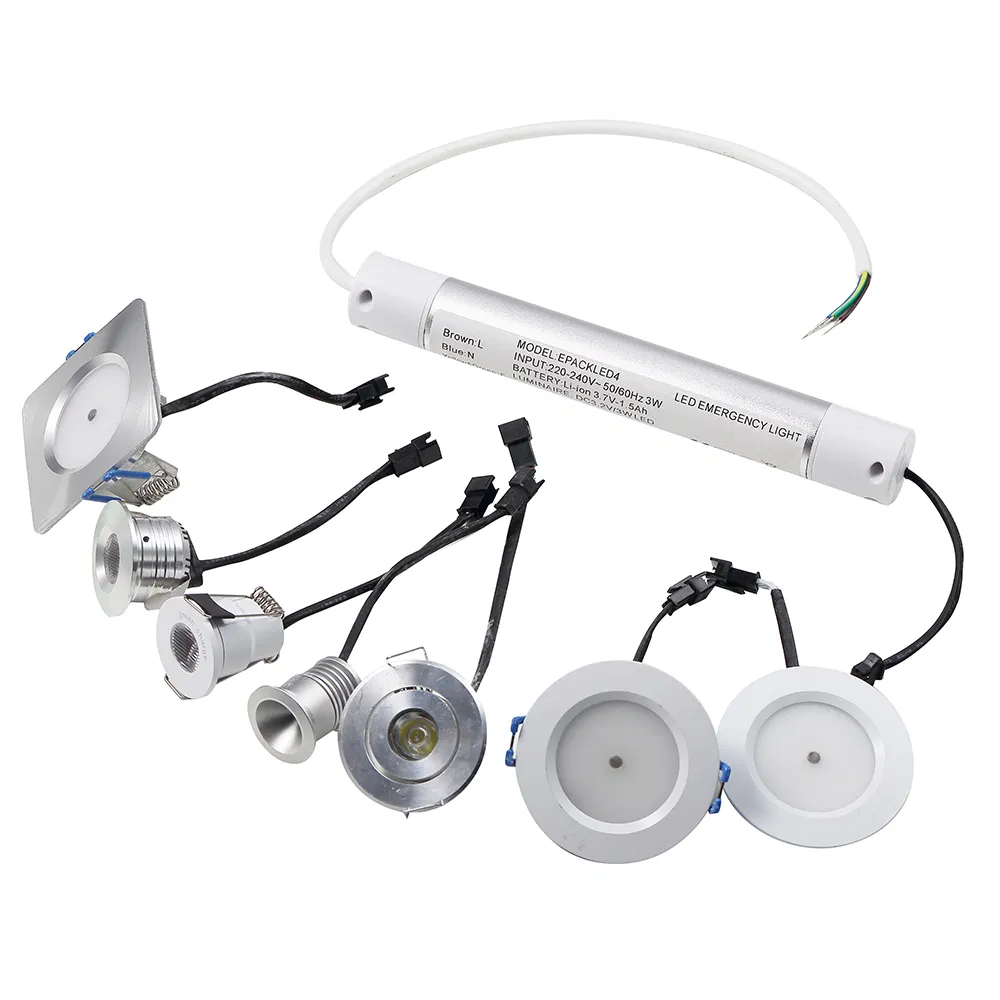 LED Emergency Down Light View 2