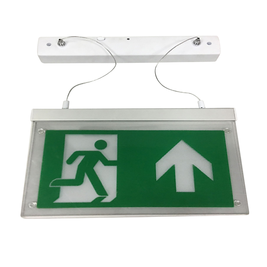 High Quality Emergency Down Light with Factory Lowest Price