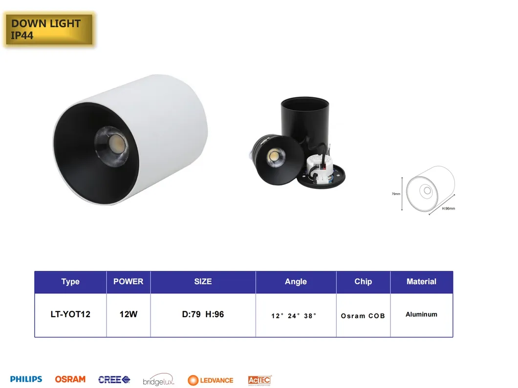 LED Downlight View 5