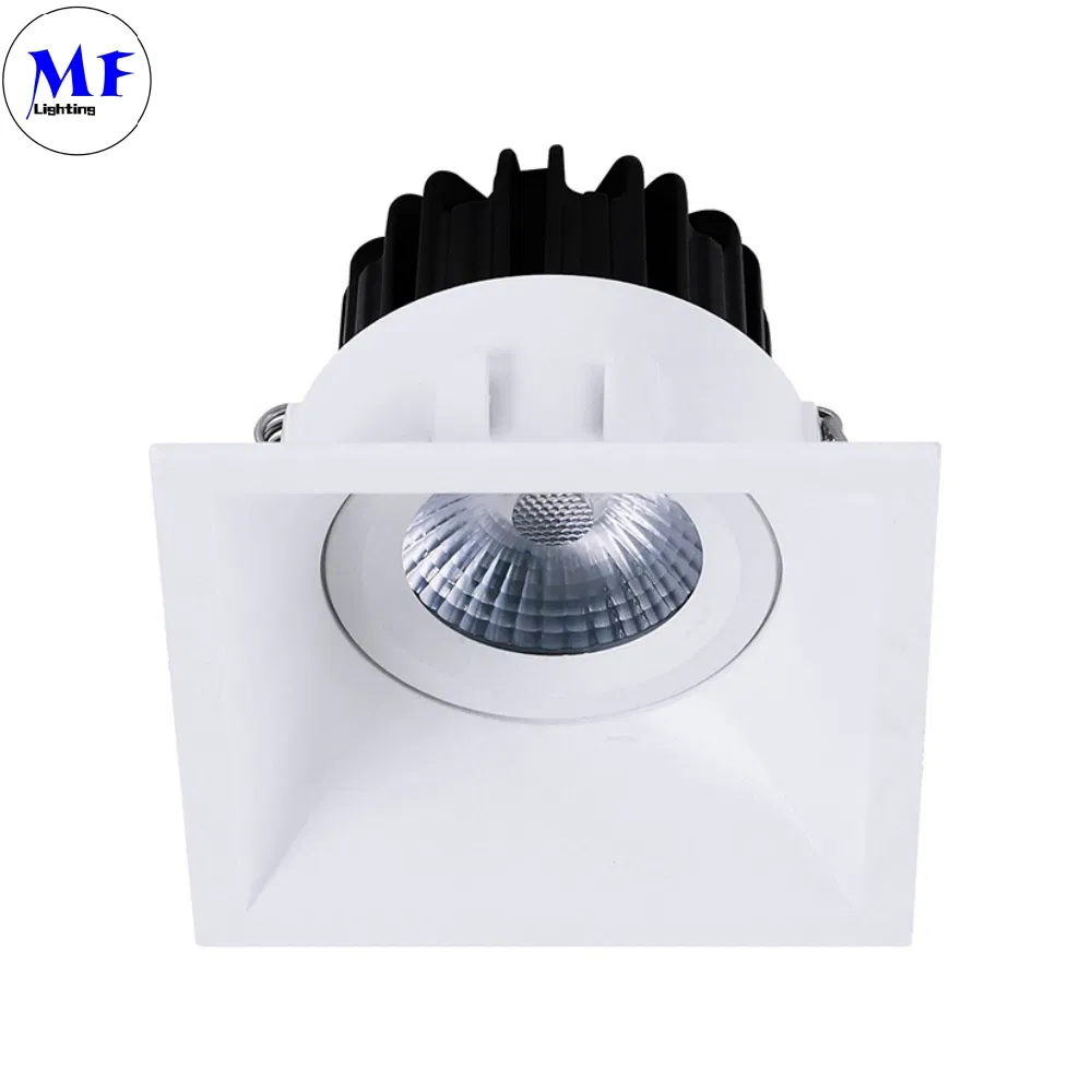 Industrial Commercial White Black Recessed 10W 12W 15W 20W 30W 40W Ceiling LED Spot Down Light for Fitness Center Museum Retail Store