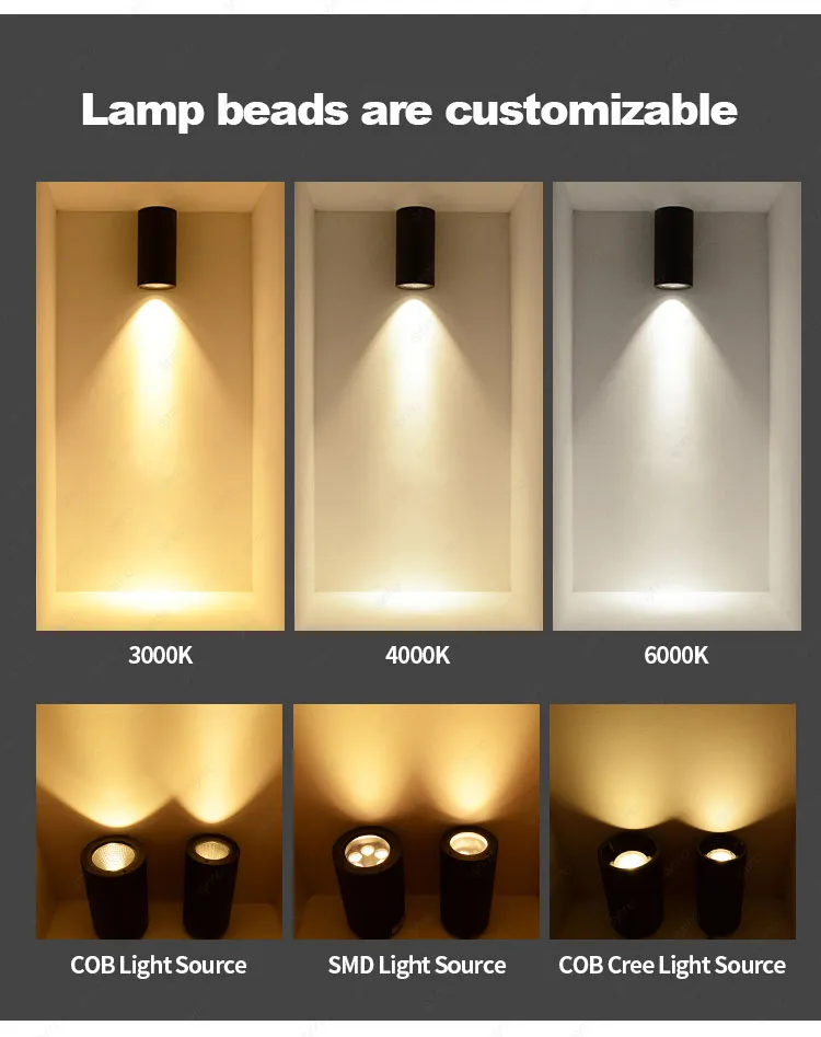 LED Downlight View 2