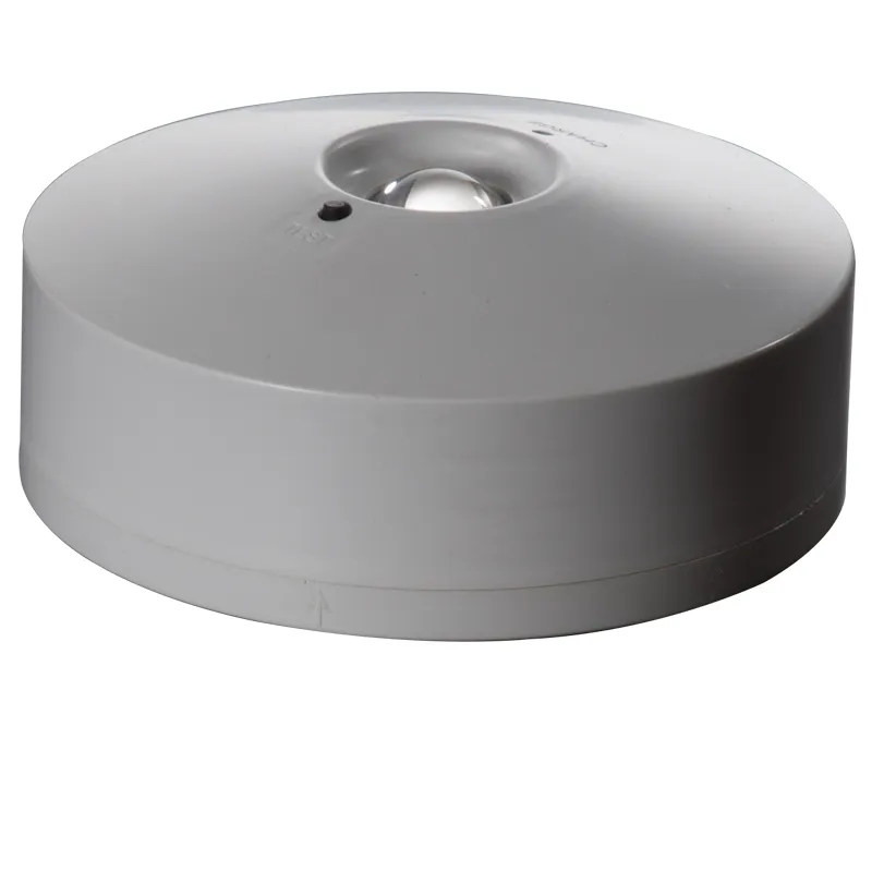 Emergency Light Detail 1