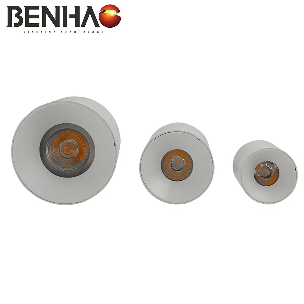 Sleek Modern Indoor LED Ceiling Downlight for Industrial Spaces