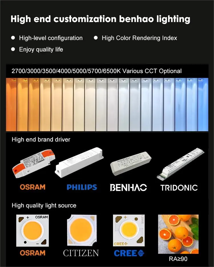 LED Downlight View 4