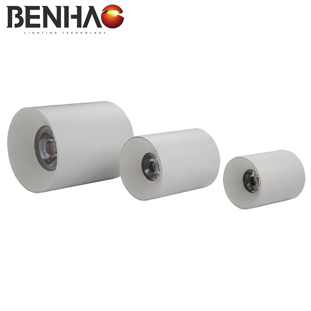 Sleek Modern Indoor LED Ceiling Downlight for Industrial Spaces