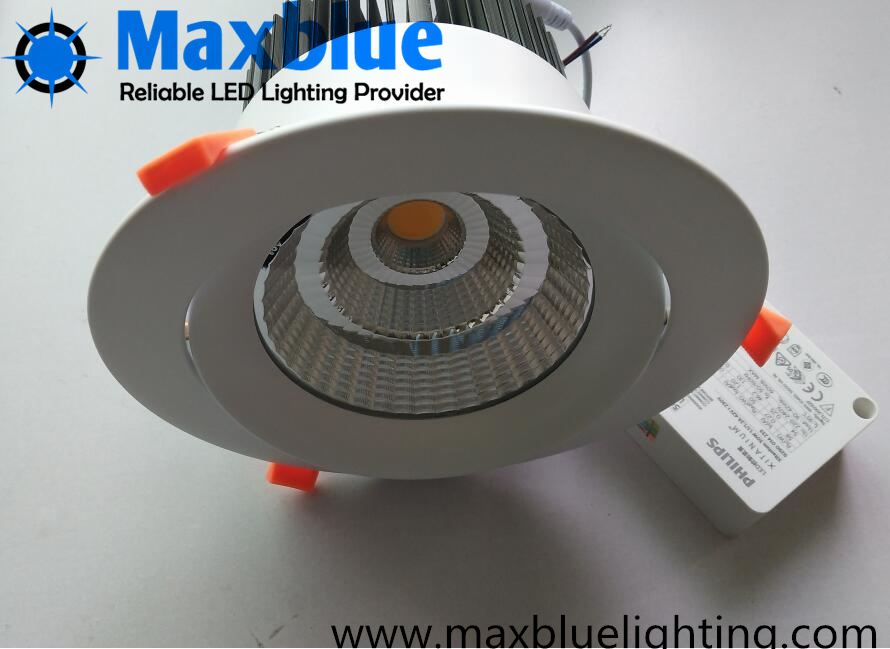 High Brightness Dimmable LED Downlight for Residential and Commercial