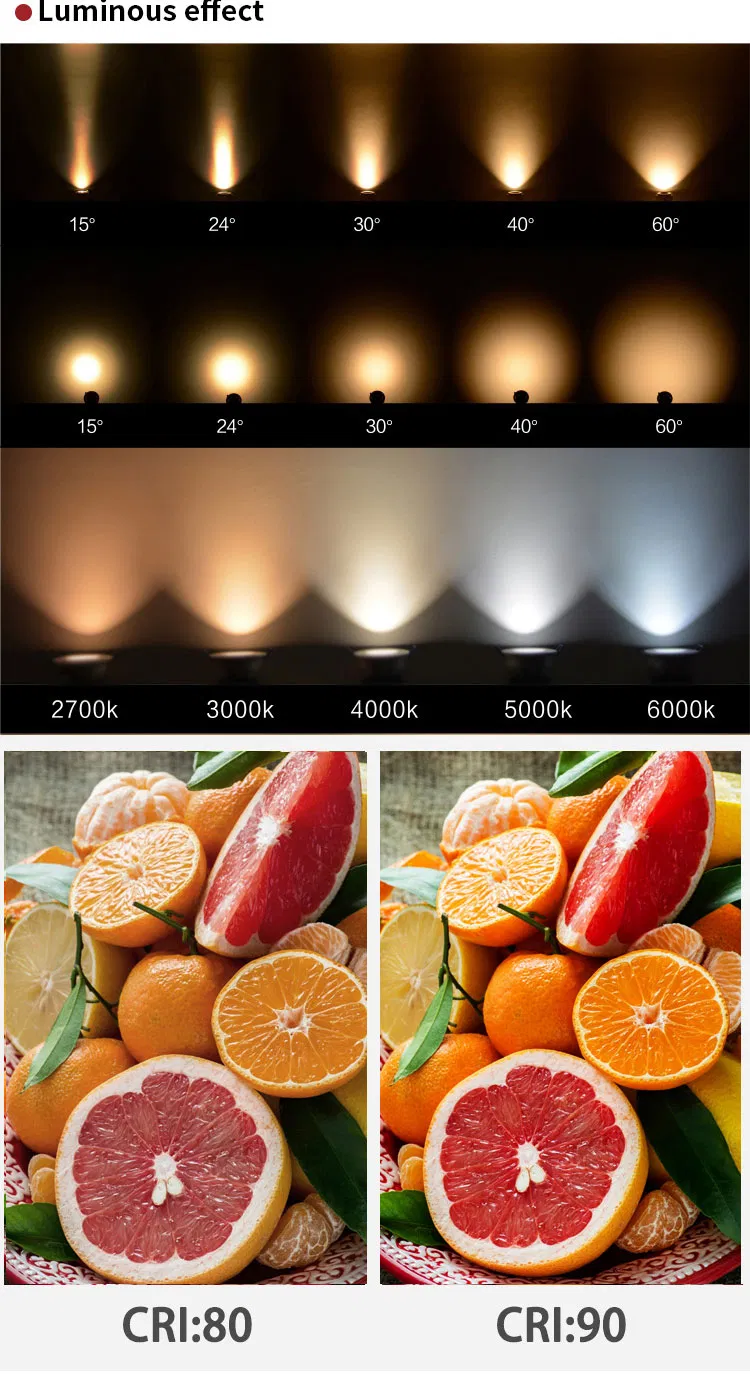 LED Downlight Details 2