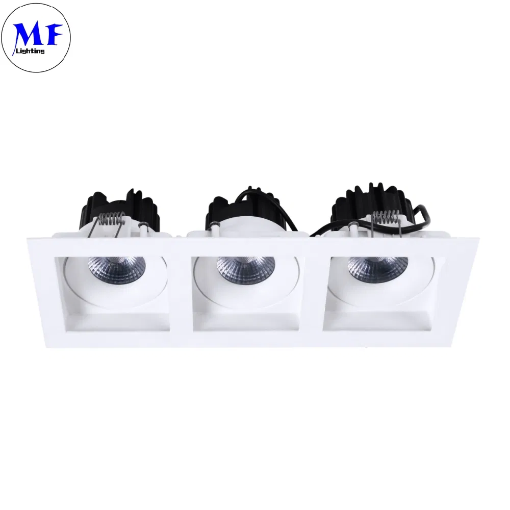 Industrial Commercial White Black Recessed 10W 12W 15W 20W 30W 40W Ceiling LED Spot Down Light for Fitness Center Museum Retail Store