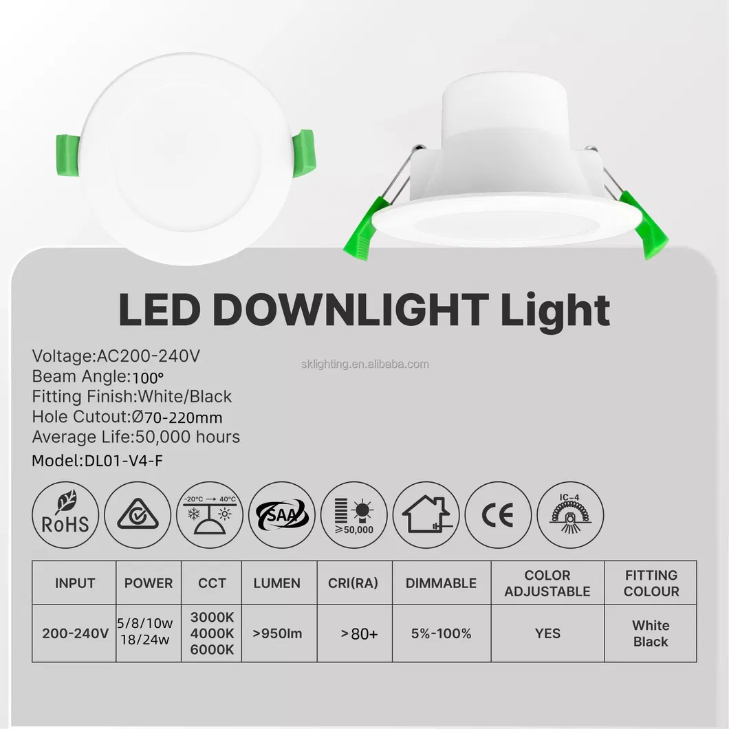 LED Downlight 1