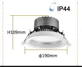 Commercial LED Downlight