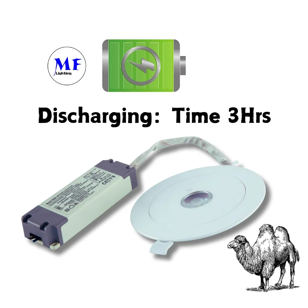 16+ Years Factory 3h IP65 Battery Backup Rechargeable Public School Hospital Shopping Workshop Mall Down Light Panic Emergency Escape Exit Sign Light