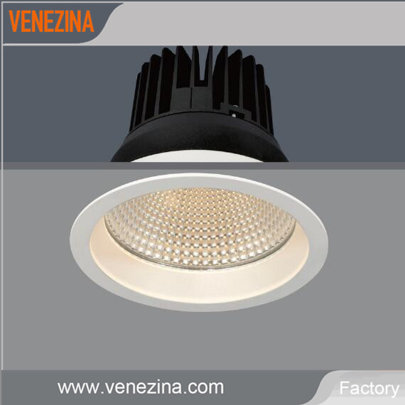 Aluminum 25W Warm White High Efficiency LED COB Spot Light Downlight