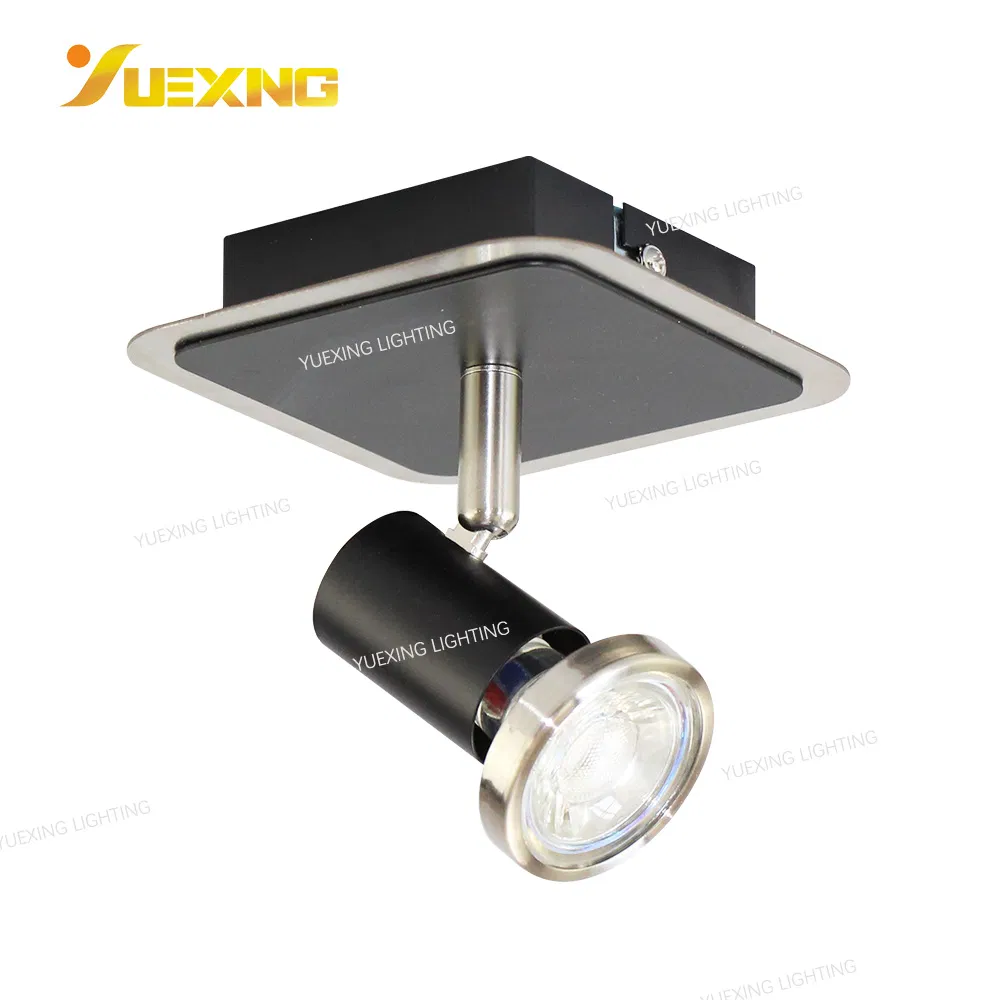 Rotating Industrial Wall Lights Down Light Warm White Black Iron Custom Design LED Ceiling Lamp Spot Light