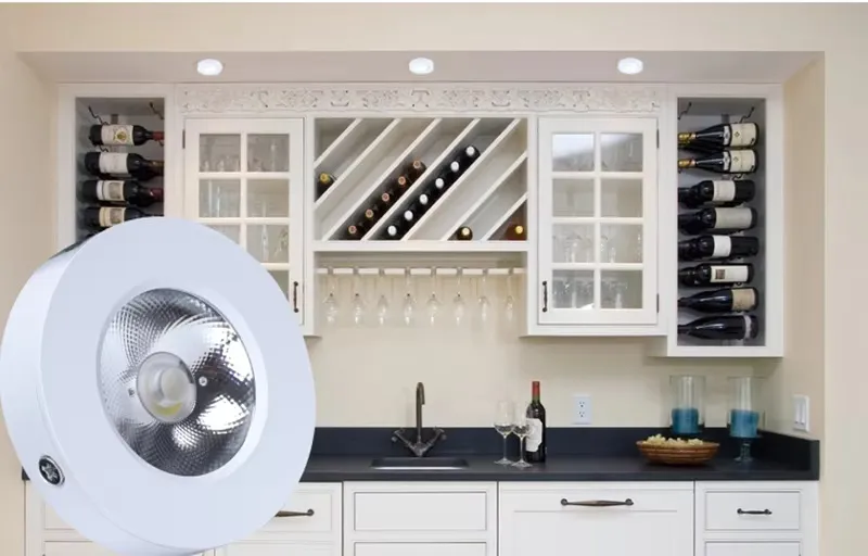 LED Downlight View 11