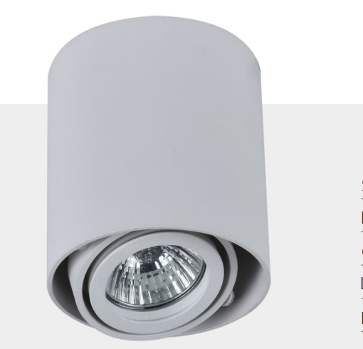 Surface Mounted Fixture Downlight COB LED Module Housing Modern Home Office Hotel Apartment Project Light
