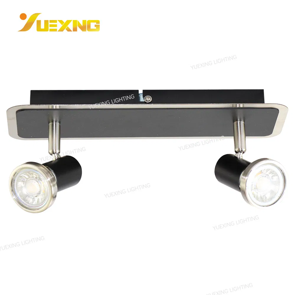 Rotating Industrial Wall Lights Down Light Warm White Black Iron Custom Design LED Ceiling Lamp Spot Light