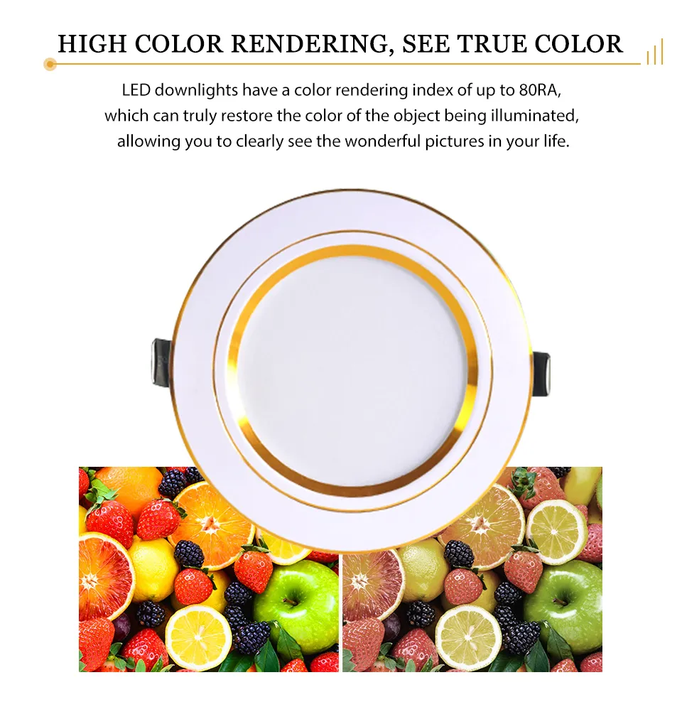 LED Downlight View 2